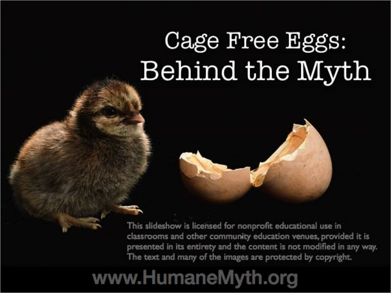 The Myth About Cage Free Eggs,Dryer Outlet Cover Plate
