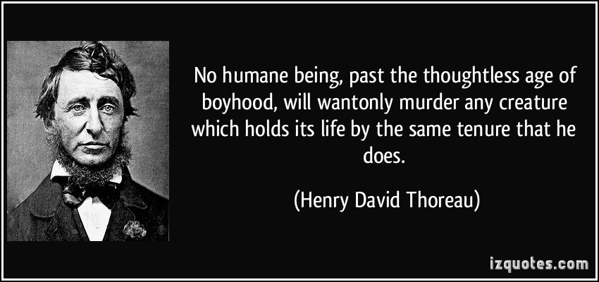quote-no-humane-being-past-the-thoughtless-age-of-boyhood-will-wantonly-murder-any-creature-which-holds-henry-david-thoreau-316997.jpg