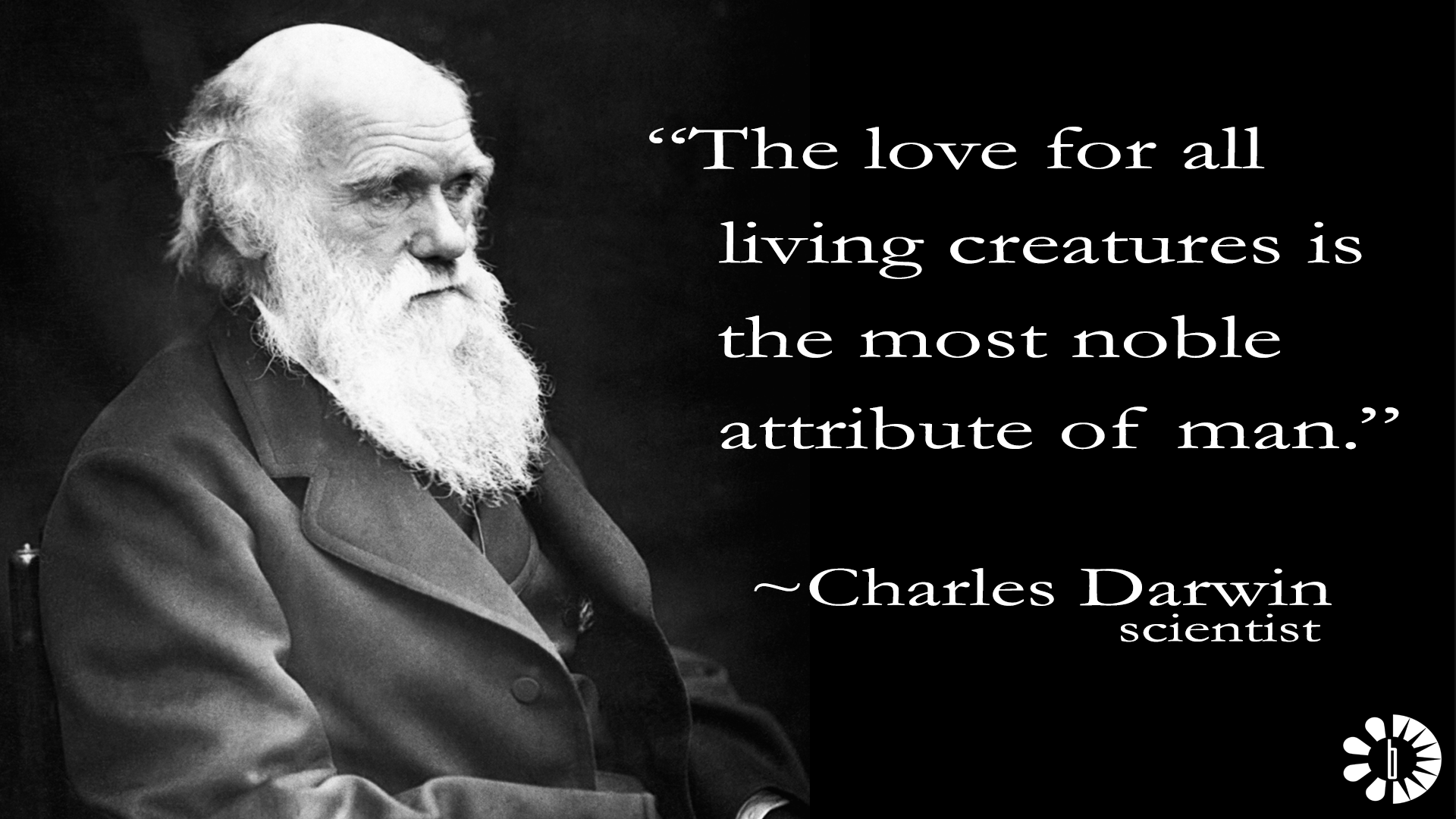 Charles Darwin - The lower animals, like man, feel pleasure and pain,  happiness and misery