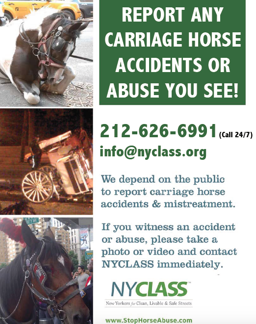 Why HorseDrawn Carriages are Cruel to Horses Humane Decisions