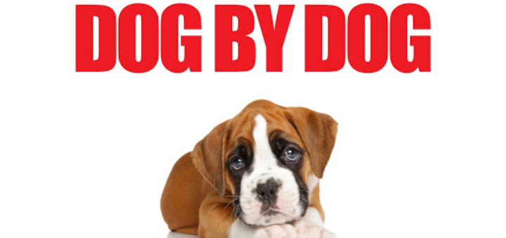 how to become a puppy broker