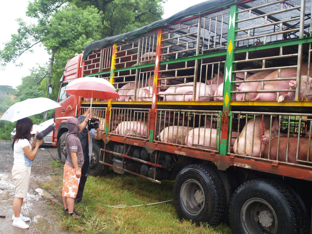 What’s For Dinner? The Growth and Impacts of Meat Eating in China