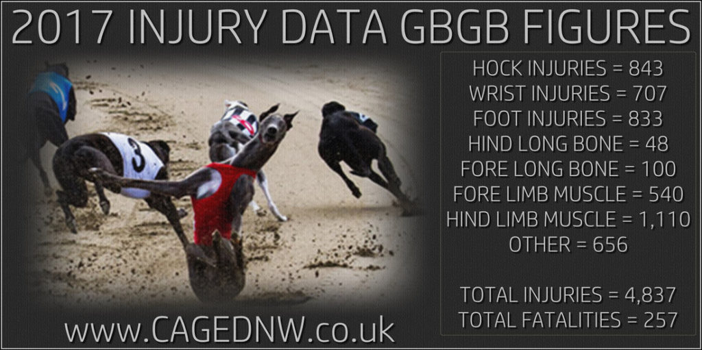 Is Greyhound Racing Bad