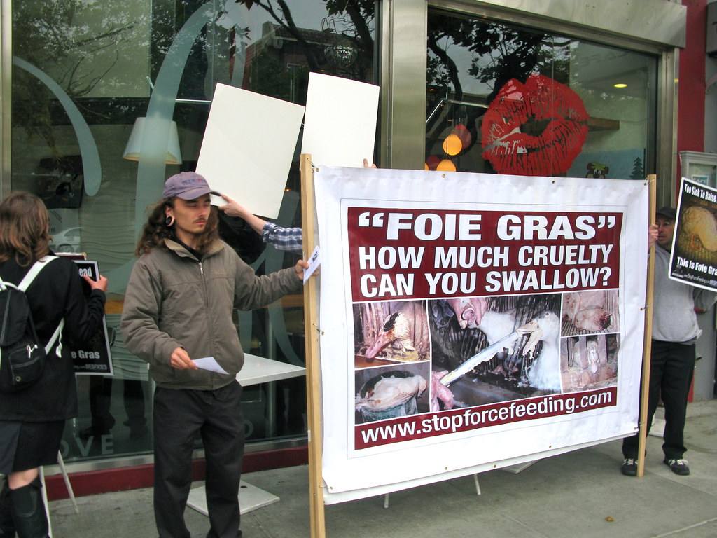 Foie Gras Cruelty Humane Decisions