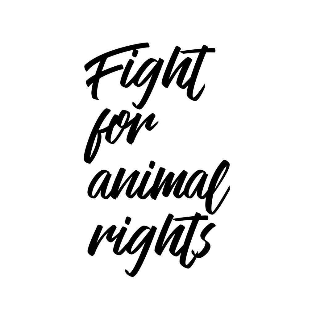 sites With Animal Rights and Animal Advocacy Event Listings Humane