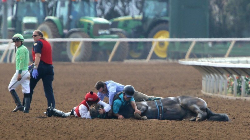 Horse Racing is Killing Horses