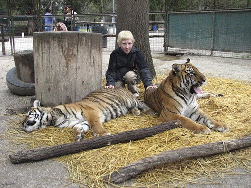 Zoos - The Animal Cruelty of Zoos, Roadside Zoos, Petting Zoos, Safari  Wildlife Parks and Amusement Parks