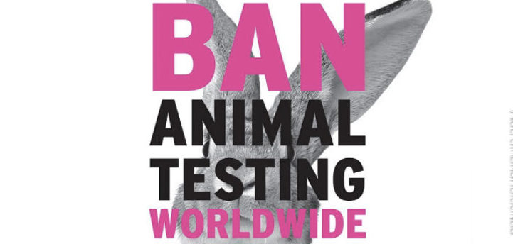 Organizations Fighting to End Animal Testing and Using Animals in Research