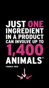 Organizations Fighting to End Animal Testing and Using Animals in Research