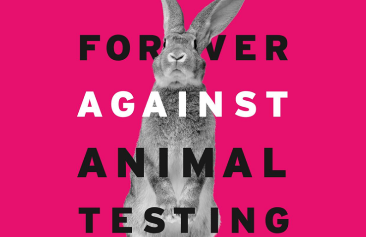 Organizations Fighting to End Animal Testing and Using Animals in Research