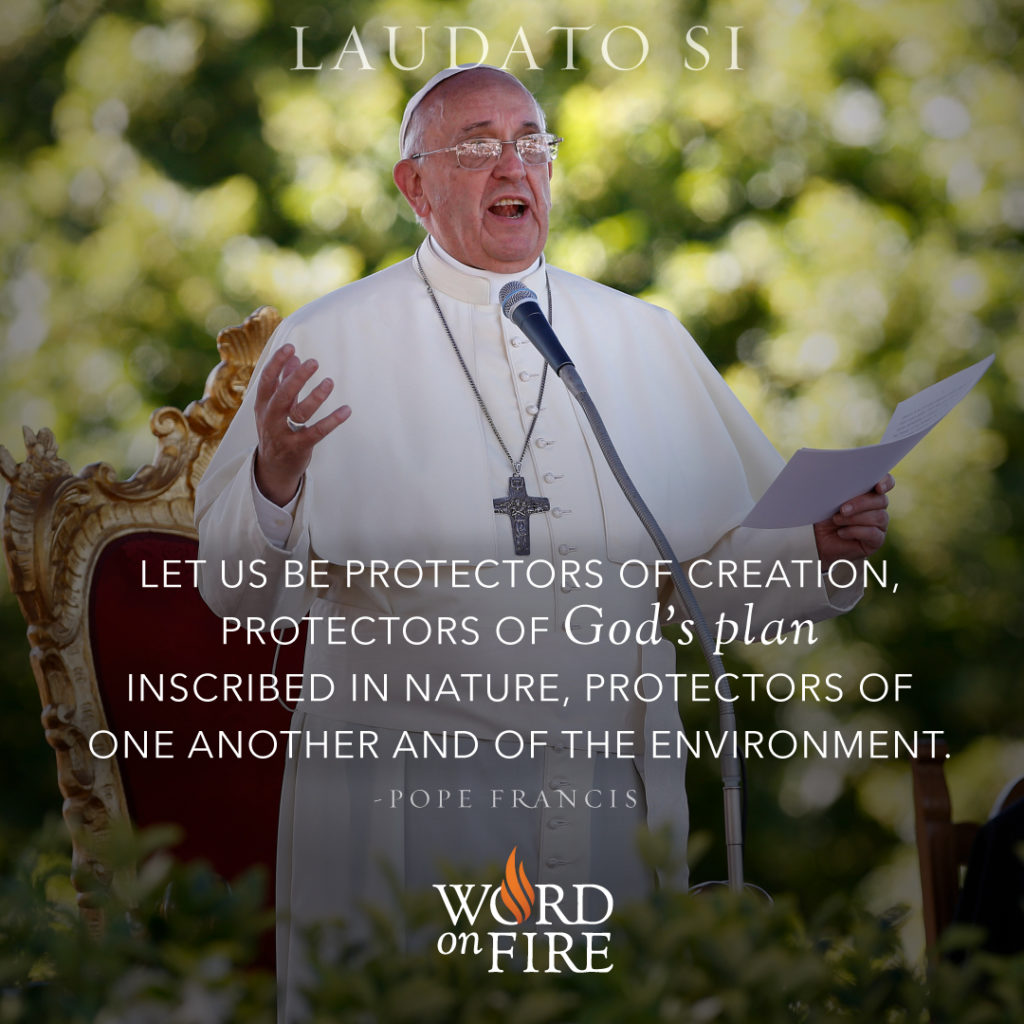 Pope Francis – An Urgent Call to “Every Person Living on This Planet