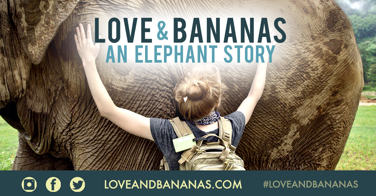 Love & Bananas An Elephant Story