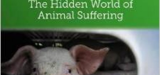 Bleating Hearts, The Hidden World of Animal Suffering