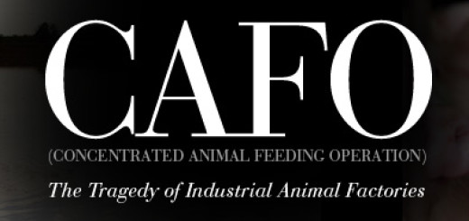 The CAFO Reader book