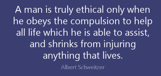 Albert Schweitzer quote