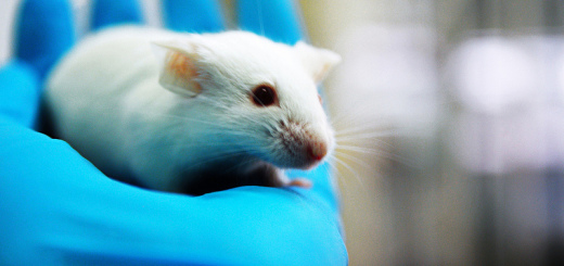 Compassionate consumer