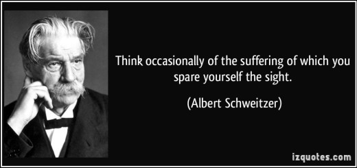 Albert Schweitzer quote about suffering