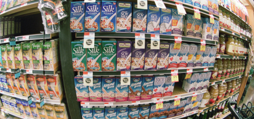 Plant-based milk alternatives