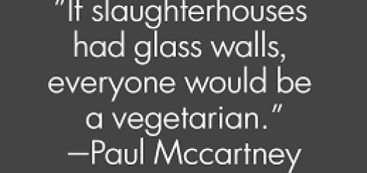 Paul McCartney being vegetarian