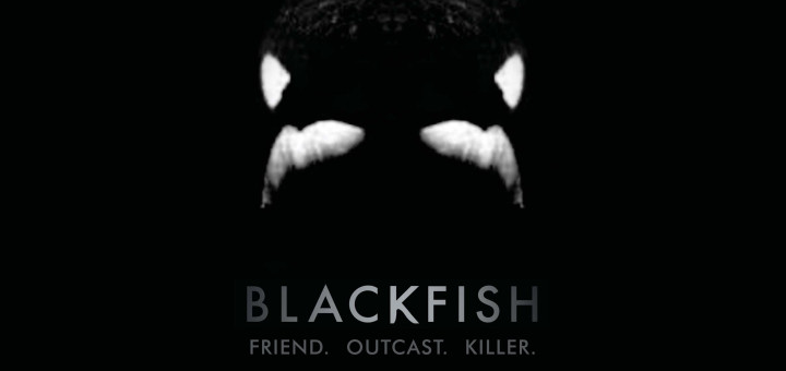 Documentary Film Blackfish