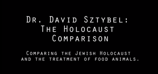 Dr. David Sztybel's Comparison between Agriculture Animals and the Nazi Holocaust