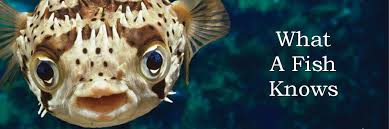 What A Fish Knows, The Inner Lives of Our Underwater Cousins, Jonathan Balcombe, PhD